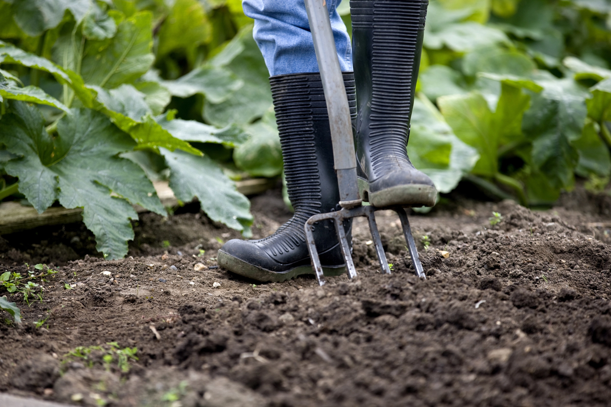 Vente compost et améliorateurs de sol Valterra Compost